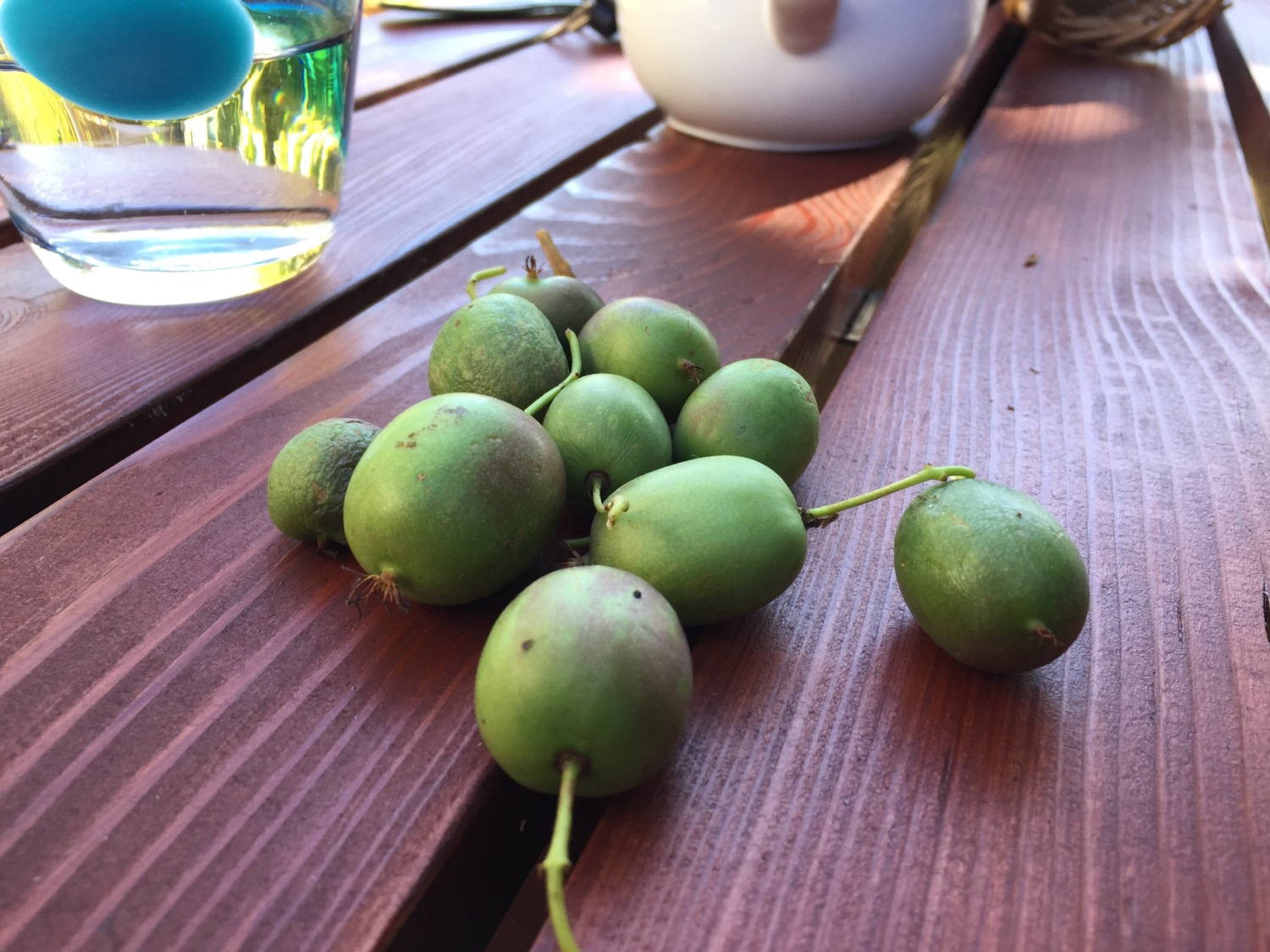 Home grown kiwi from my parents garden.

