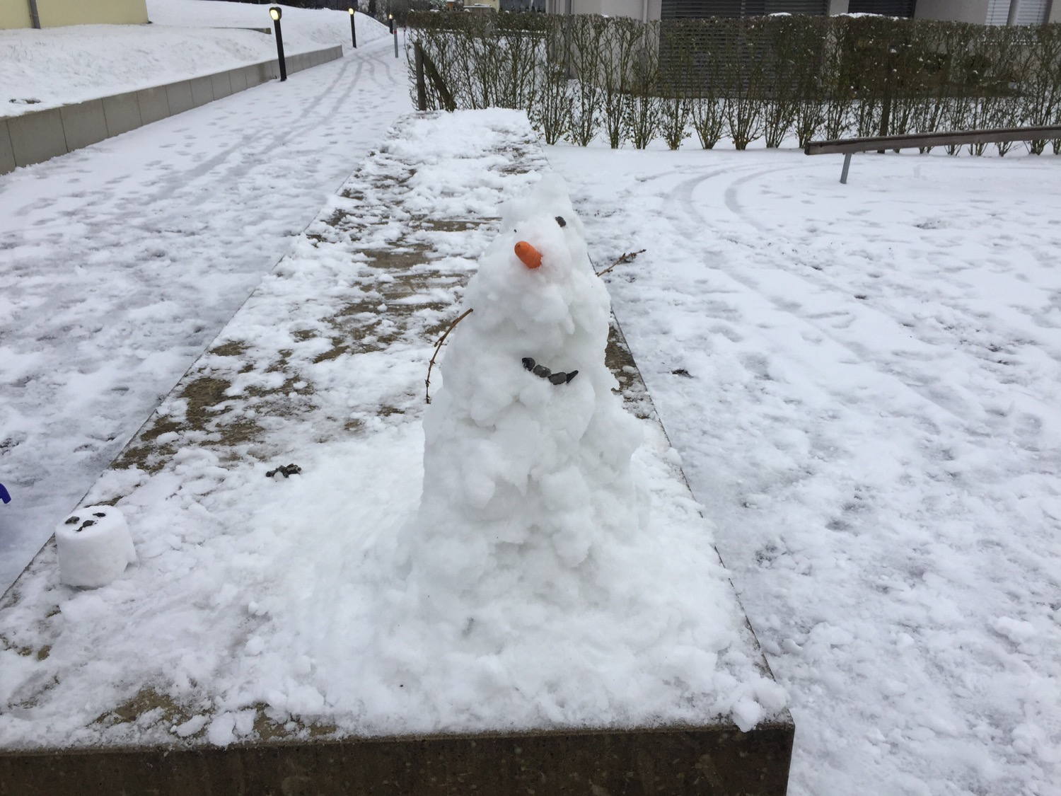 Snow! ⛄️
