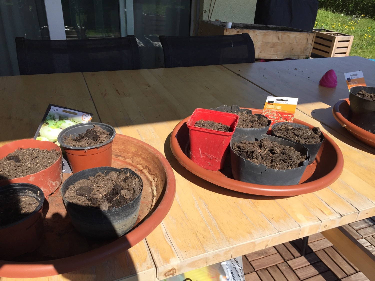 Seeds ready to grow.
