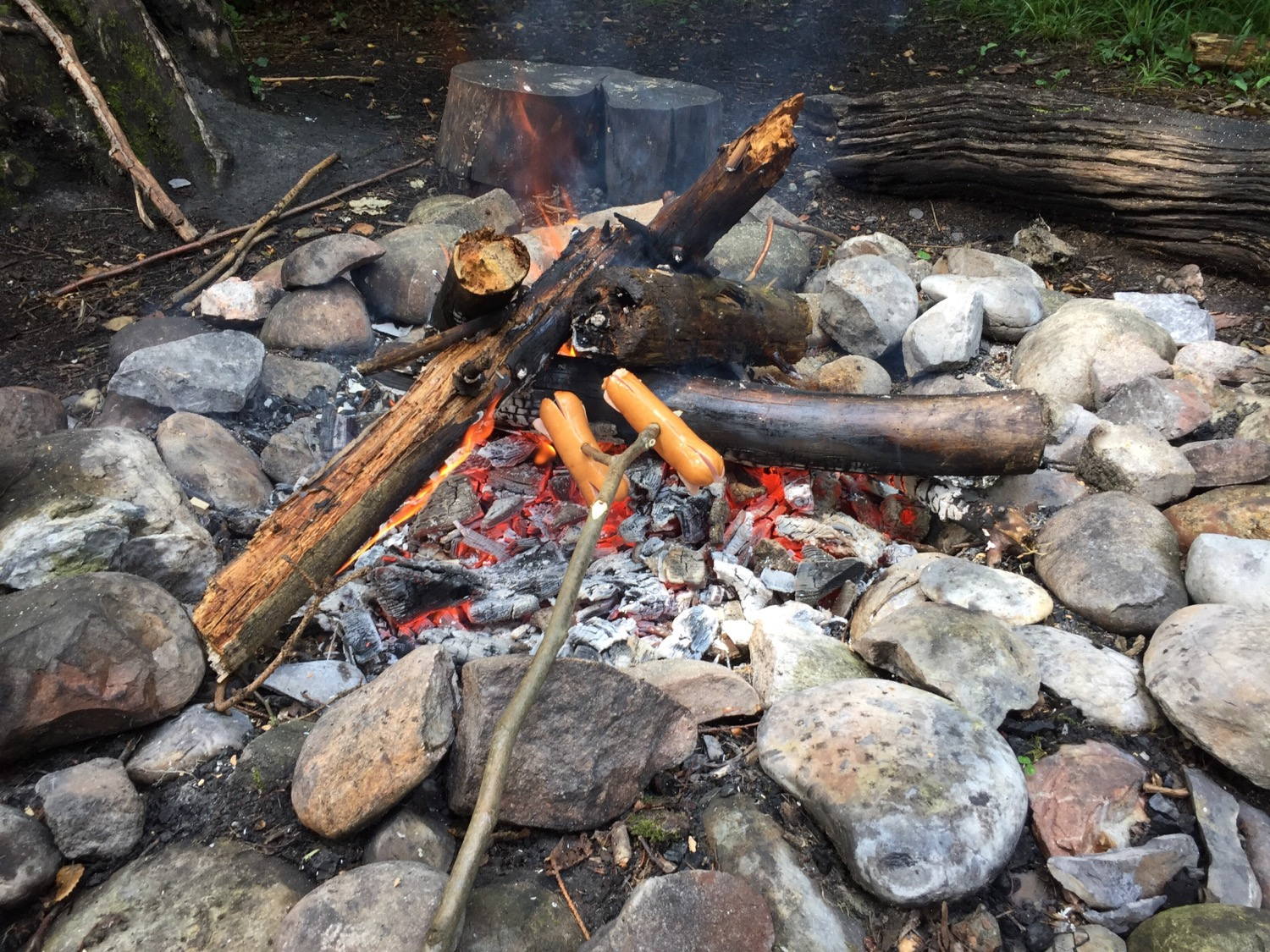 I am waiting for my lunch.
