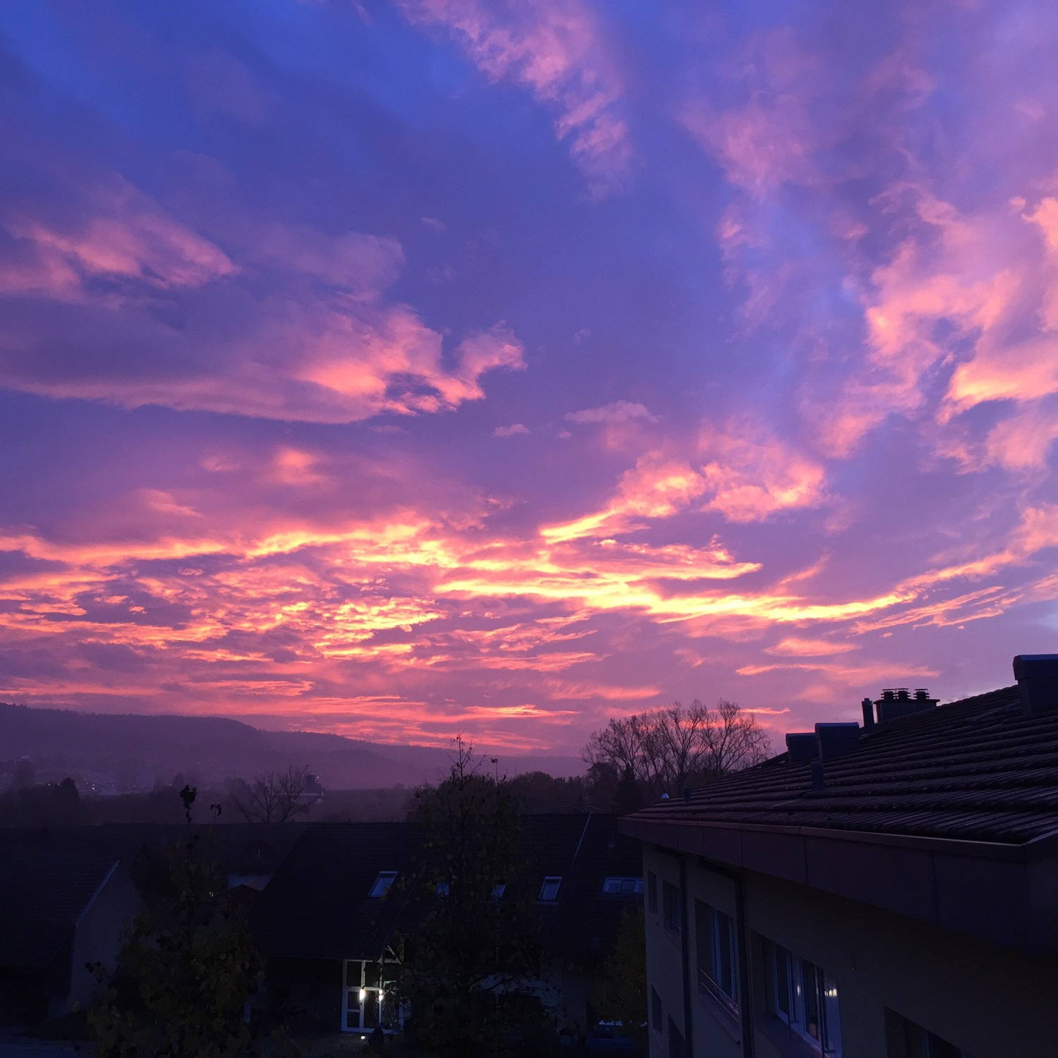 The sky this morning. Amazing colors, I&rsquo;ve never seen it so purple.
