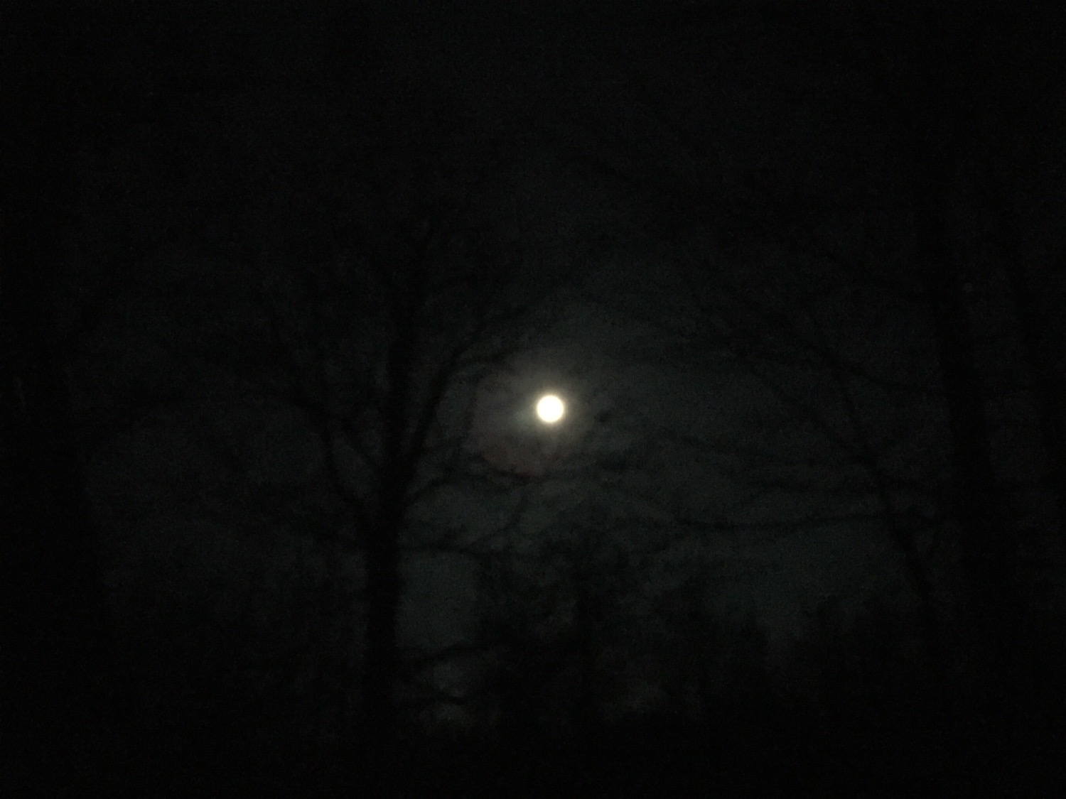 One day before the full moon.
