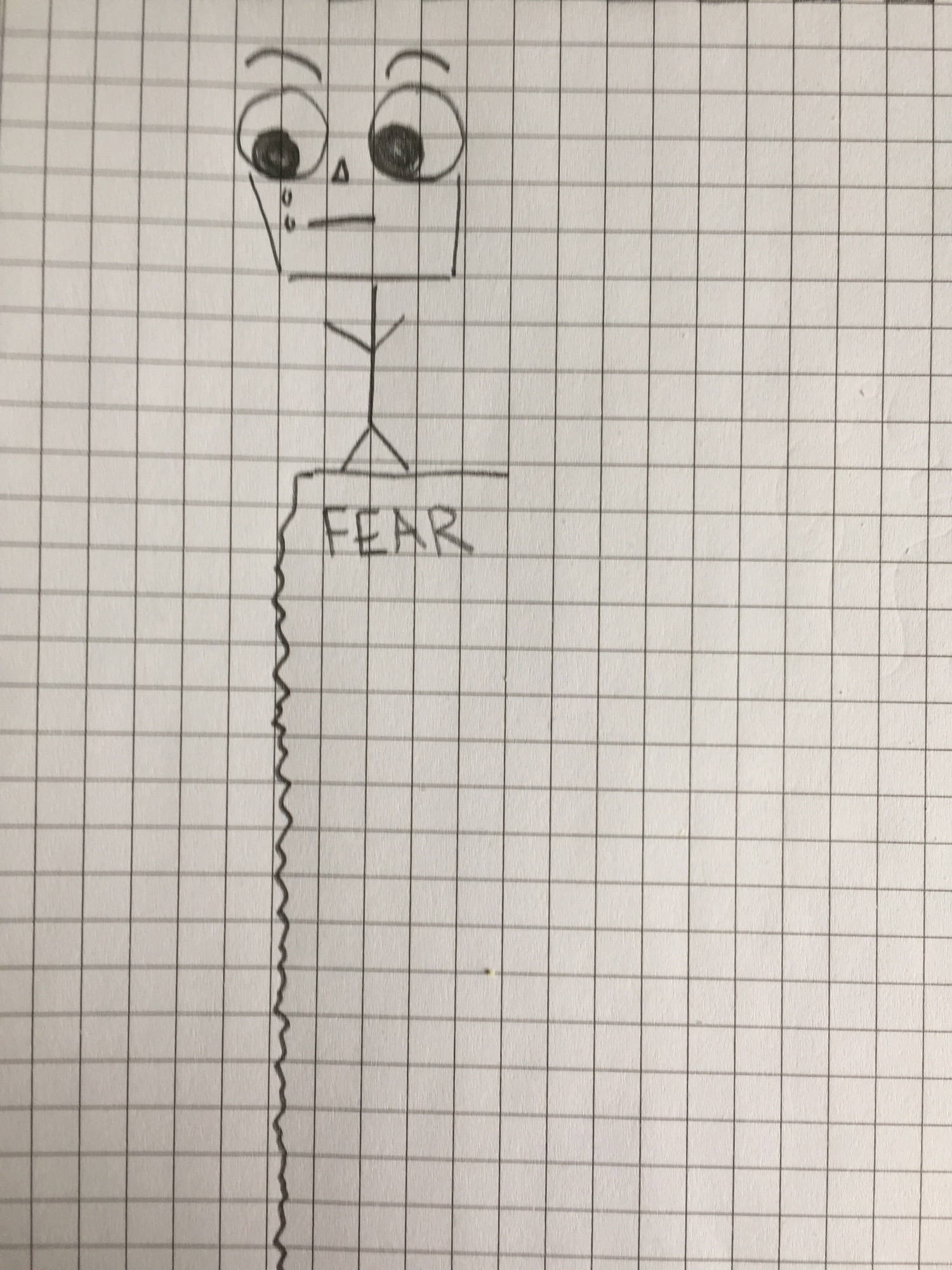 Fear
