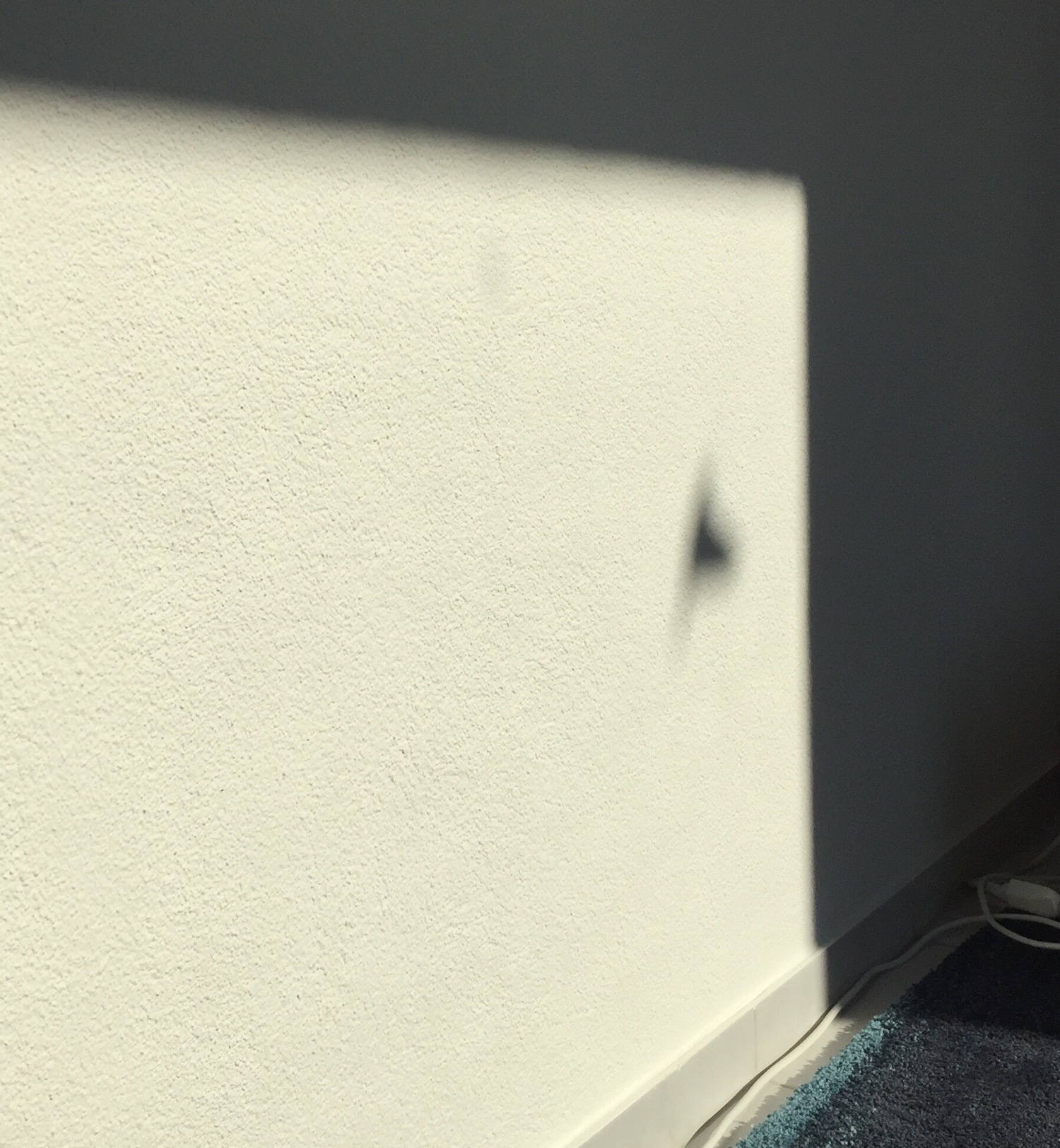 The shadow of a bird entering it&rsquo;s nest.
