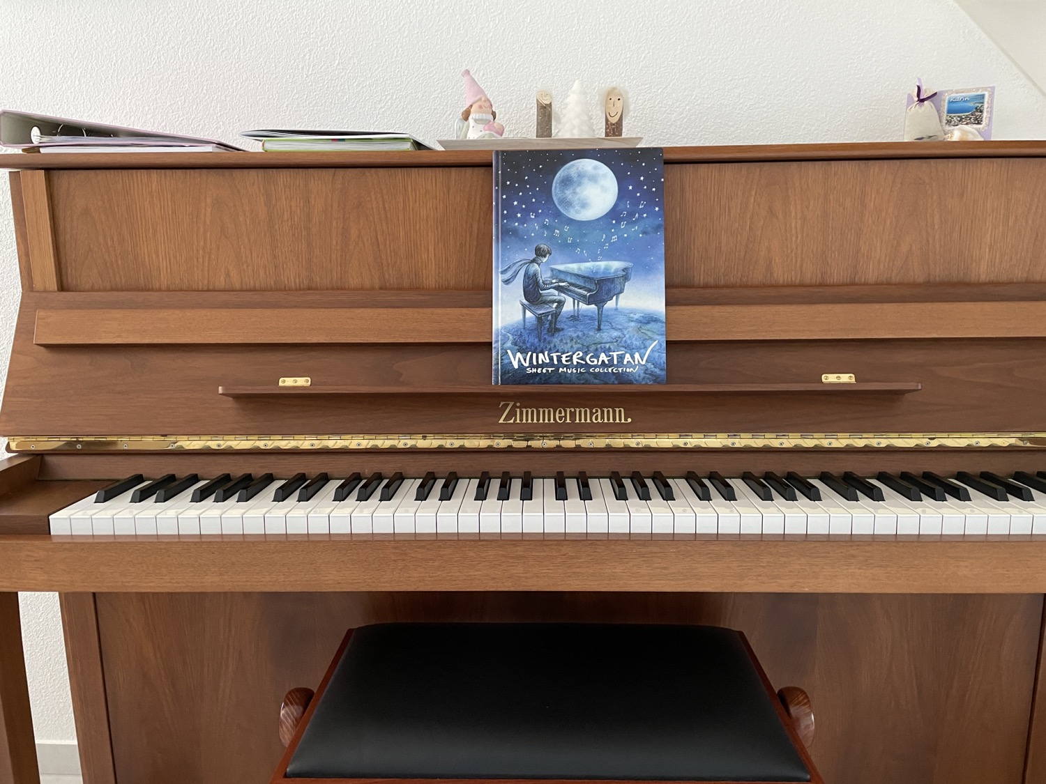 Wintergatan Sheet Music Collection — it will take some time until I can play anything from it.
