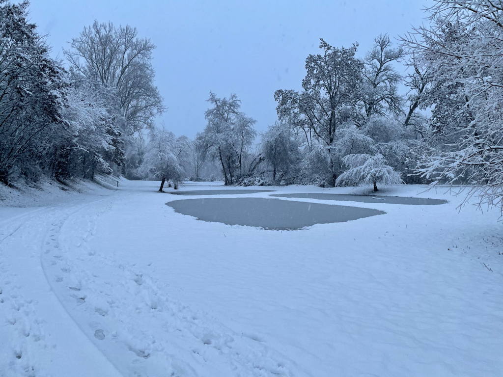 We got more snow today - so calm. And it looks like it&rsquo;s staying.
