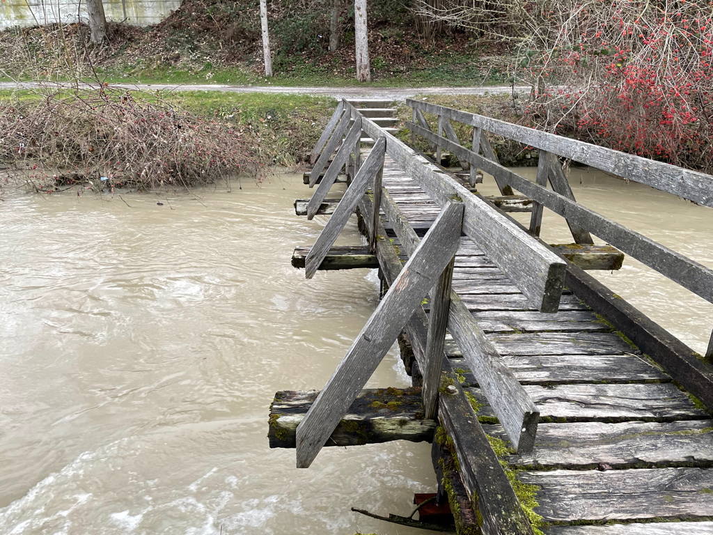 The water is still higher than usual.
