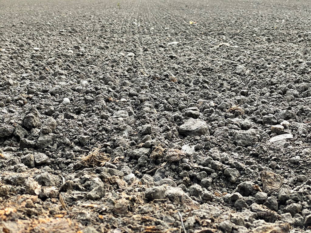 Parallel lines in a freshly sown field

