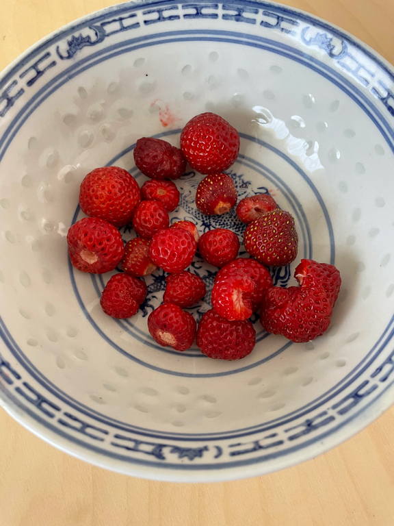 We harvested our first strawberries.
