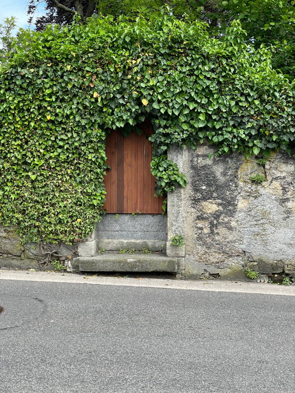 An overgrown door to which magical real will it lead me?

