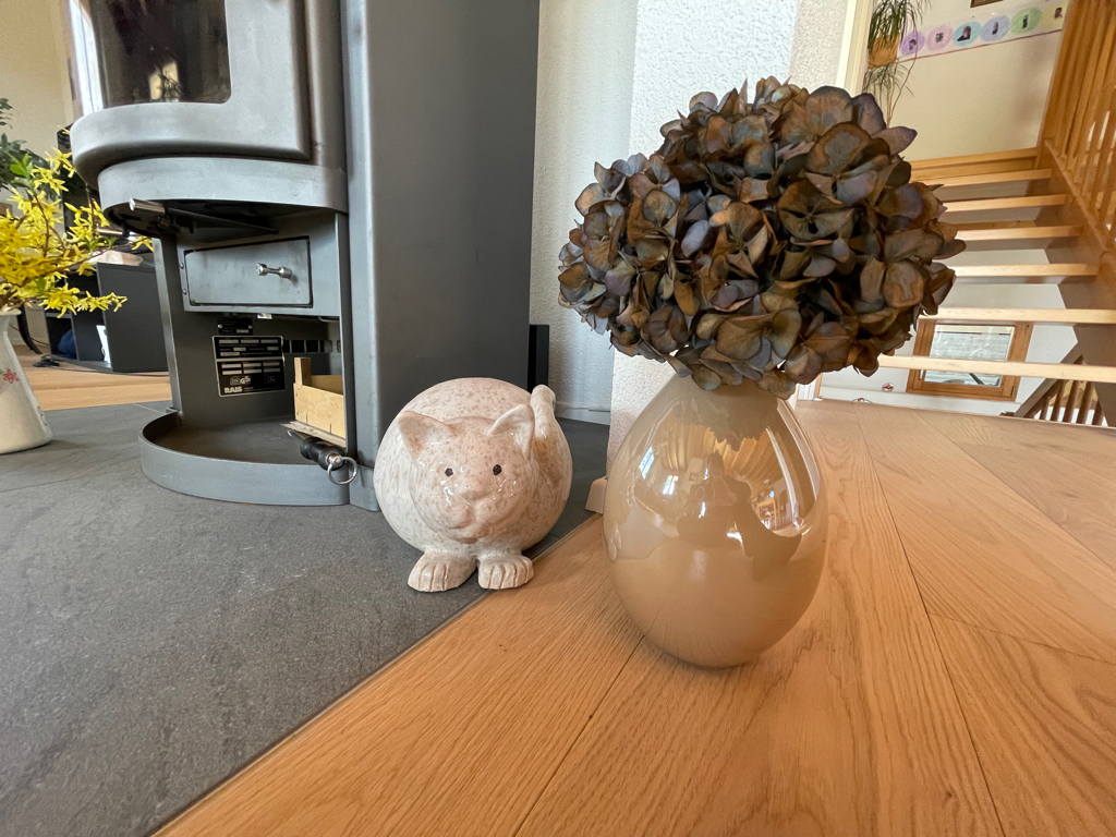 🐈 unfortunately not a real one
