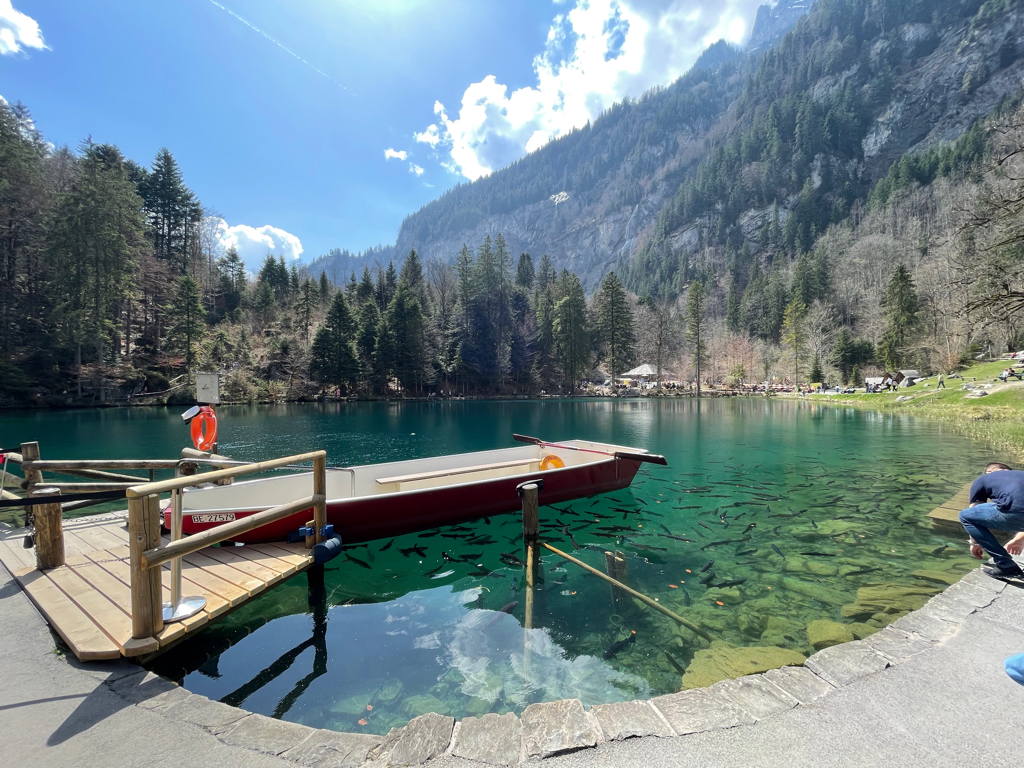 “Blausee”
