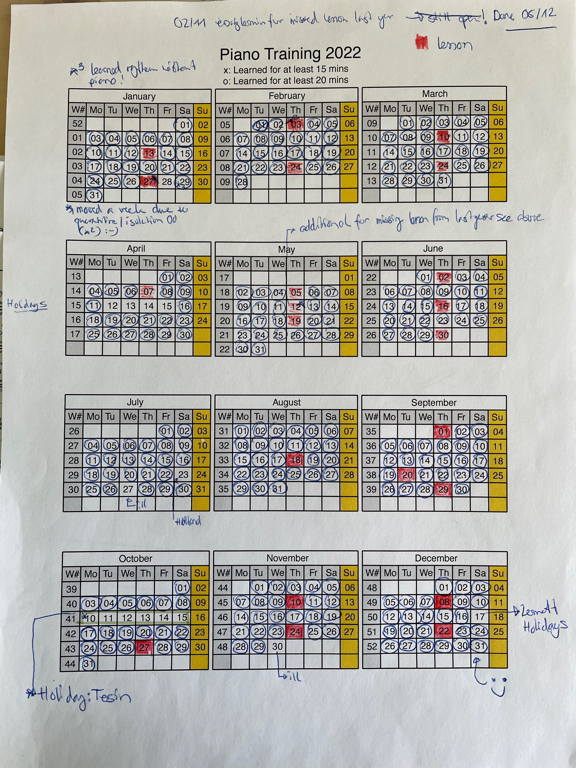 I successfully played the piano most days this year! I had six perfect months on to another year now.
