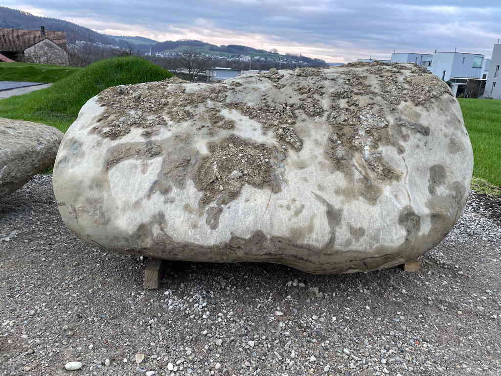 A big rock which they took out of the ground at a local construction site.
