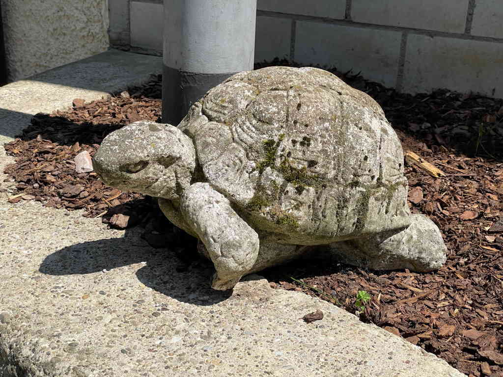 A stone turtle I found on a walk recently. The stone is withered quite a lot.