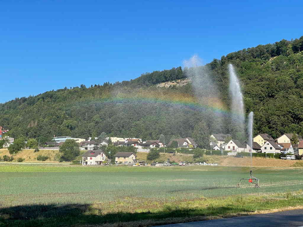 In the center a watering machine is watering a field, and the sun shines into the water fountain at the right angle to create a rainbow under a blue sky.
