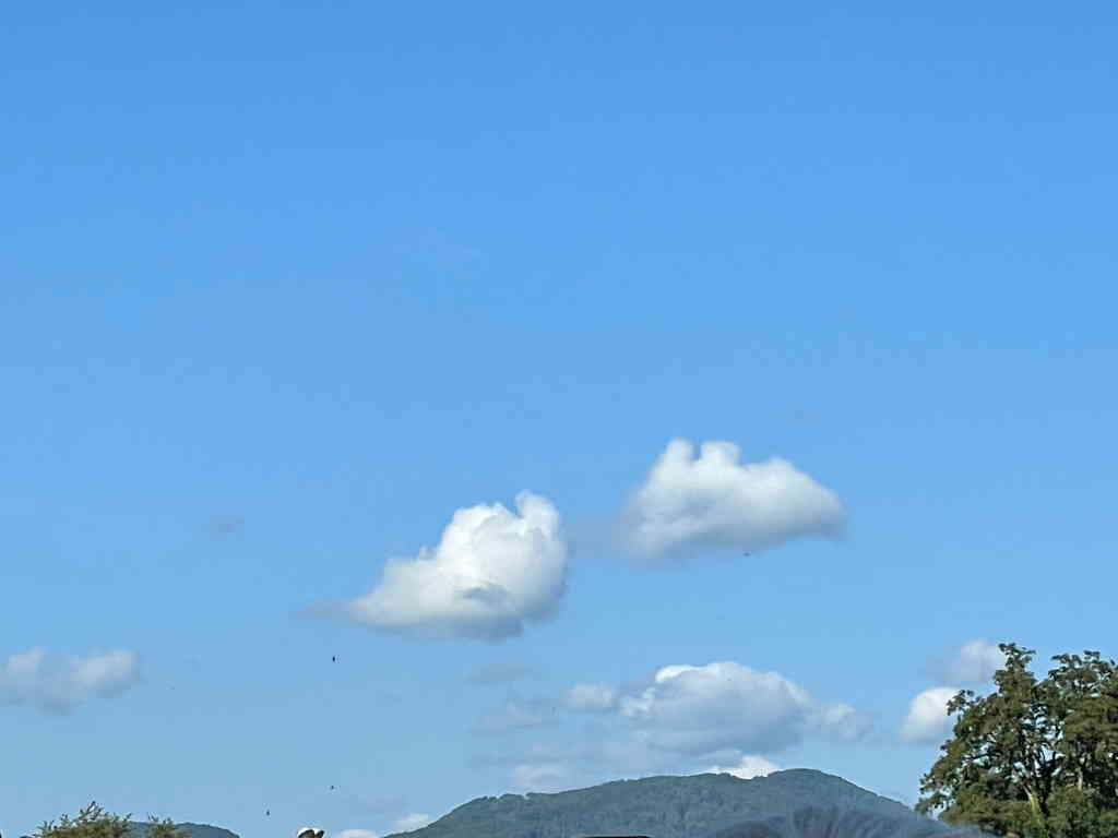 Image showing two small clouds in a mostly blue sky. The cloud looks like they are following each other and are playing together.
