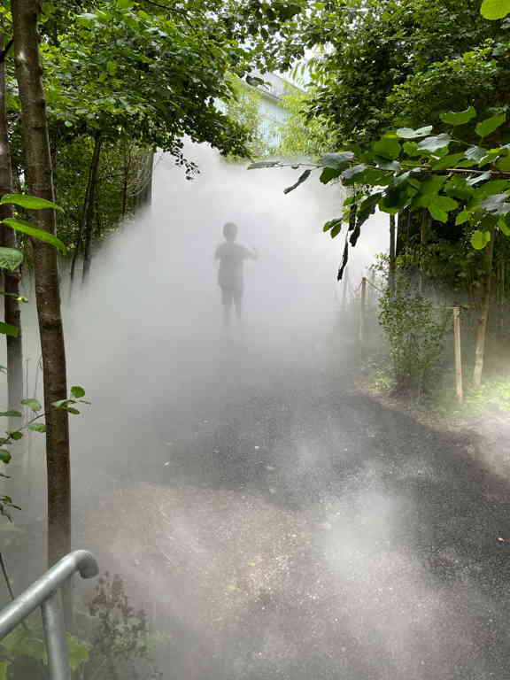 A wide shot of a path surrounded by trees. The path is filed with artificial fog. A child can be seen in the distance partially hidden by the fog.