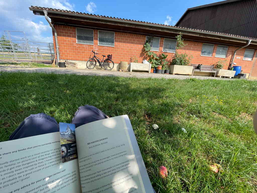 Wide shot of a horse stable. In the lower-left corner, my book is visible. The stable is in the sun. The book is in the shade.