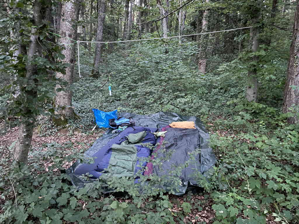 A basic camp inside the forest. No tent. Two mats with sleeping bags on top. And some misc camping supplies.