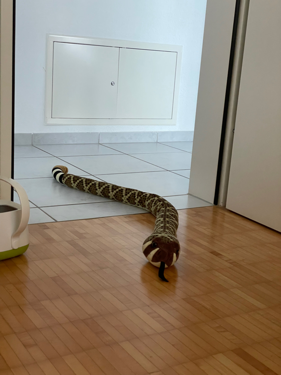A close-up photo of a stuffed animal snake in the door to my office.