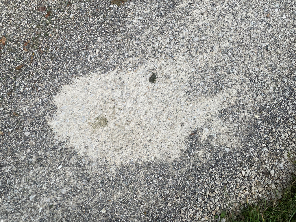 A zoomed-in picture of the walking path made of crushed stone. Part of the stone is removed forming a silhouette of a fish.