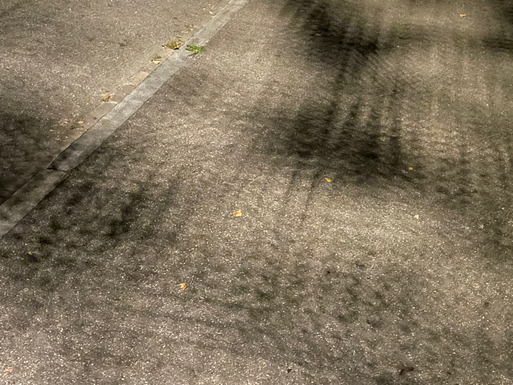 A close-up picture of a grid-like pattern from the streetlight and moonlight. Taken at night during a full moon. So the image is brighter than you would expect. There are some dark splotches between the grid. 