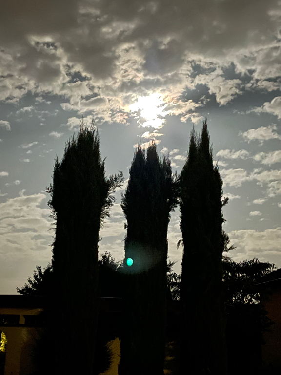 A picture of the full moon, partially hidden by clouds. In the front there are three narrow trees (or high bushes). And it looks like they are the human silhouettes looking at the moon. The bottom half of the image is cast in shadows and dark.