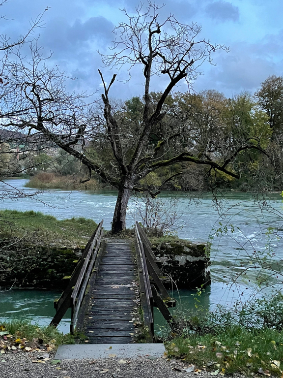 A zoomed in photo of a small pedestrian bridge with a tree (without leaves) at the end. In the background is the river.