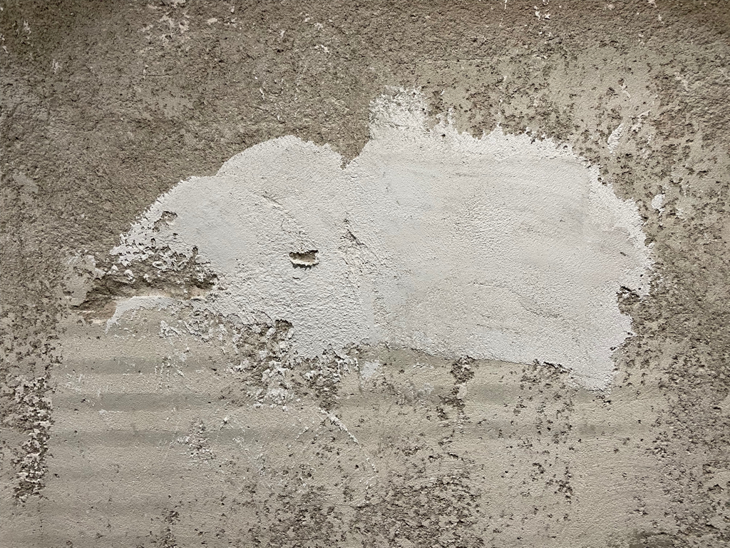 A close up image of spot of color on the unfinished wall in our new kitchen. It looks like an elephant or a guinea pig for me. The spot is white on a grey background.