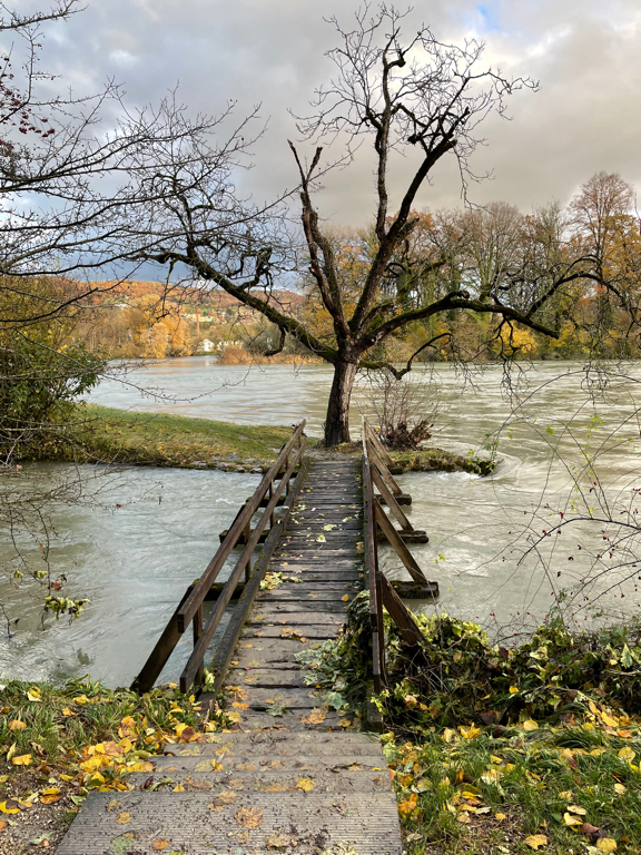 A zoomed in photo of a small pedestrian bridge with a tree (without leaves) at the end. The water of the river comes right up to the bridge and nearly floods it.