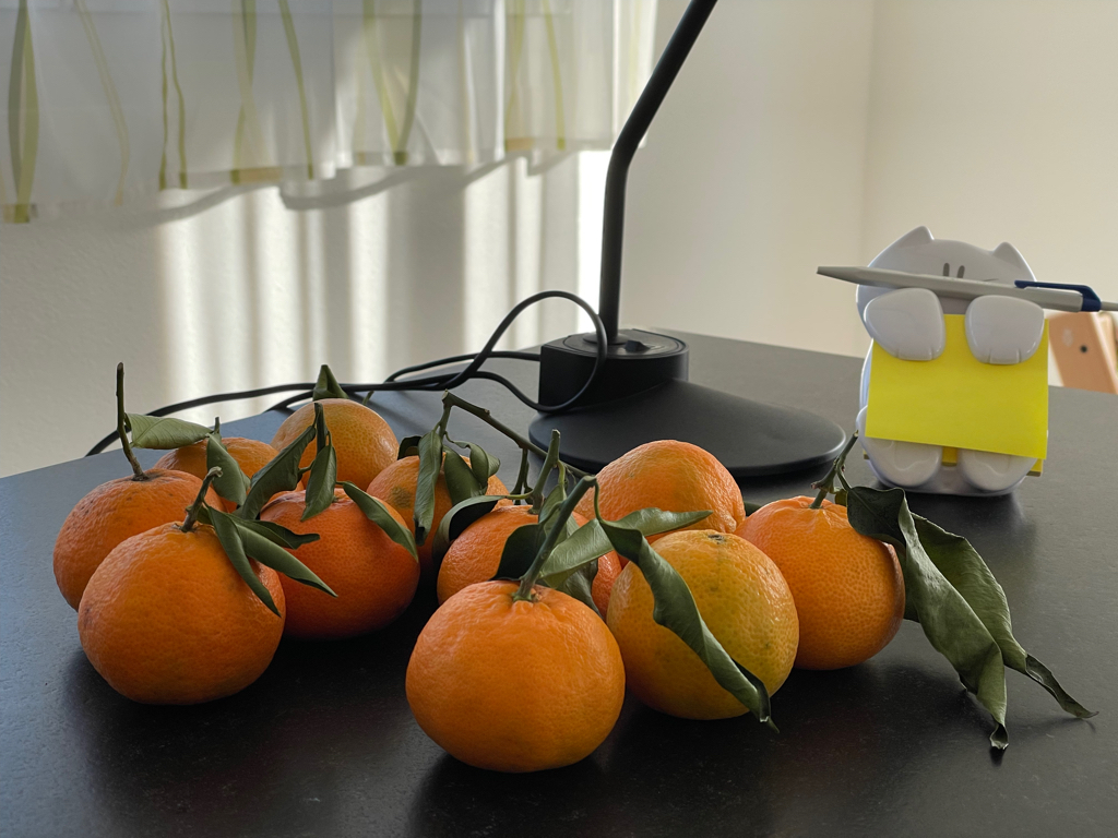 In the foreground Is a group of ten mandarins which still have part of the leaves on them. In the background is a little notes holder in the shape of a cat. Everything is placed on our counter top.