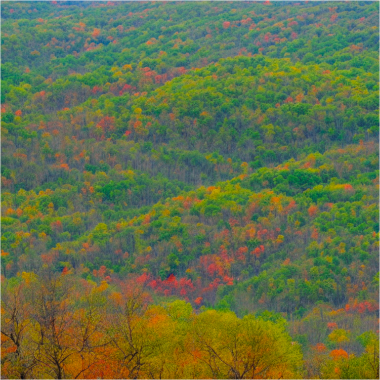 A generated image of a green forest