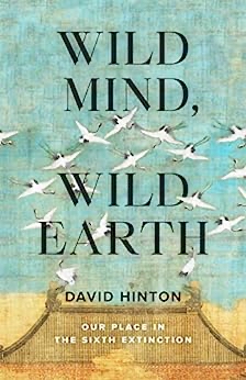 The cover of Wild Mind, Wild Earth, shows the title on a blue green background behind the letters are some drawn birds. At the bottom is a house in a japanese style.