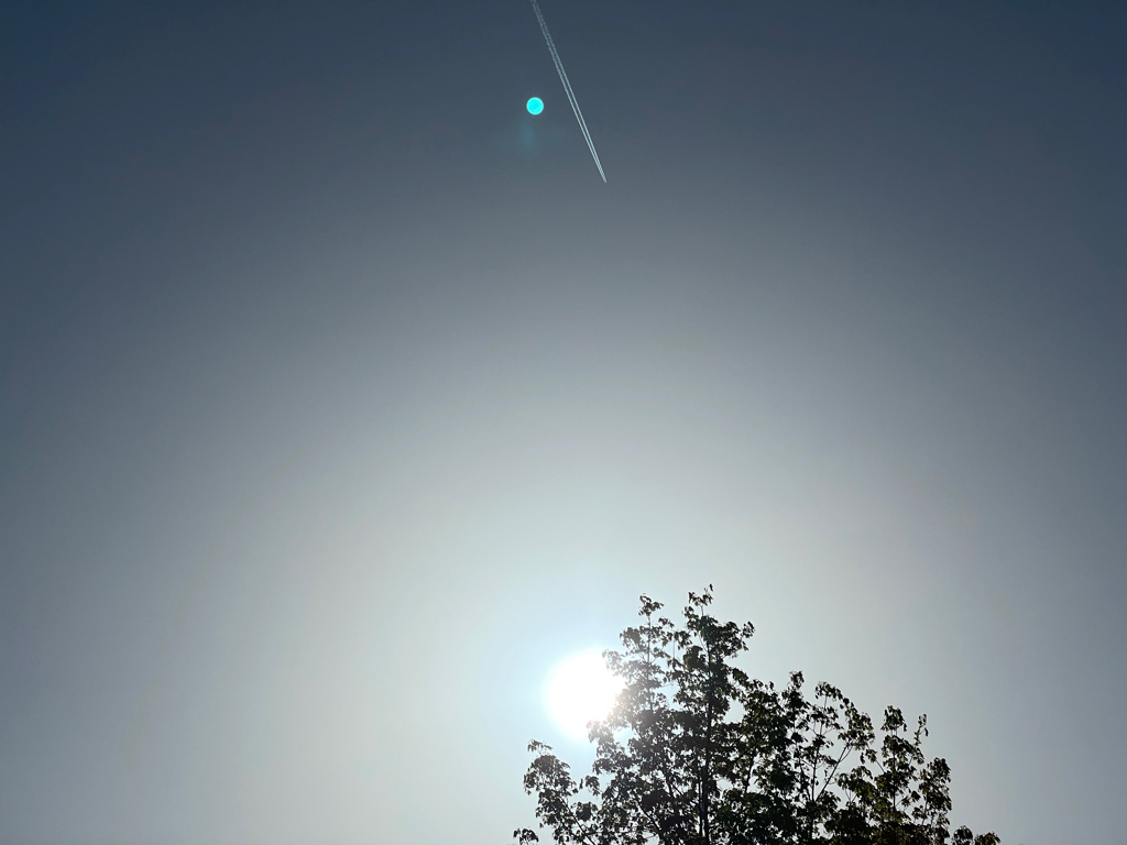 Photo of the blue sky with a bit of a tree showing on the bottom edge. The sun is shining from behind the tree. At the top edge, an airplane with its contrail is visible. Due to the sun, the sky looks a bit grey, but it is a nice blue. 