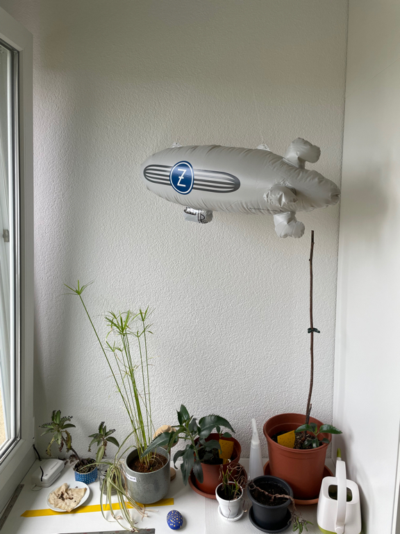 A plastic Zeppelin hanging in front of a white wall. Below it are some plants in planters. The Zeppelin has a big white Z in a blue circle on its broadside.