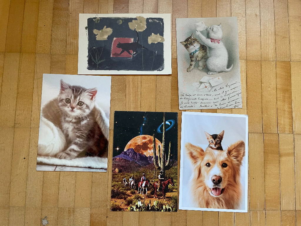 The image shows five illustrated and photographic postcards arranged on a wooden surface.   1. Top left: A minimalist illustration with gold and black elements featuring a small red square with a silhouetted cat. 2. Top right: A vintage-style illustration of a white and a brown kitten looking at envelopes, with cursive writing below. 3. Bottom left: A photograph of a fluffy gray kitten with a curious expression, sitting on a soft white surface. 4. Bottom center: A surreal collage with a desert