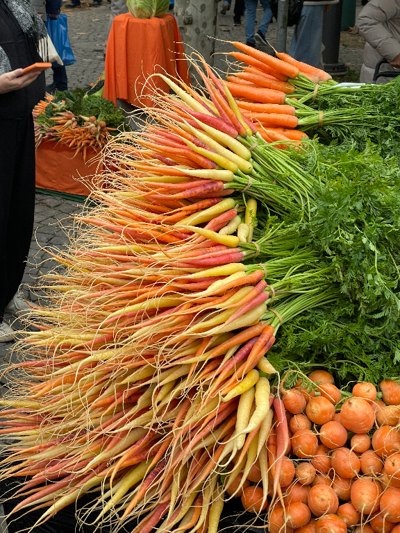 A vibrant display of multicolored carrots arranged in bunches at a market. The carrots vary in shades of orange, yellow, and purple, with leafy green tops.