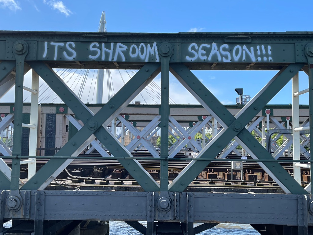 A metal bridge with graffiti reading "IT'S SHROOM SEASON!!!" painted on one of its beams. The structure has a criss-cross pattern and there is a body of water beneath. The background features another bridge and part of a suspension bridge with cables and a clear blue sky.