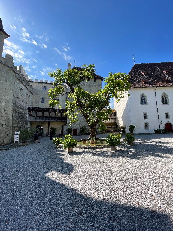 A picturesque courtyard with a large tree at the center, surrounded by potted plants. The setting includes historic stone buildings with arched windows, one having crenellations on the roofline. The sky is clear blue, casting distinct shadows on the gravel-covered ground. A person is visible near the entrance of one building.