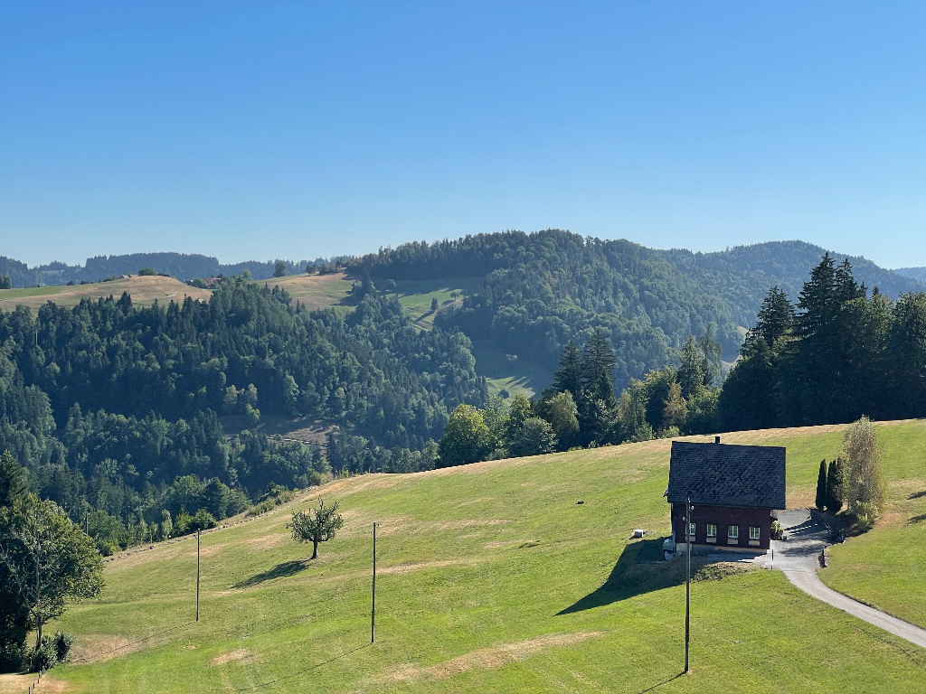A small wooden house sits on a rolling, grassy hillside under a clear blue sky. There are scattered trees near the house and some utility poles along the slope. In the background, forested hills and valleys extend into the distance. The sunlight casts shadows on the landscape, creating a peaceful rural scene.