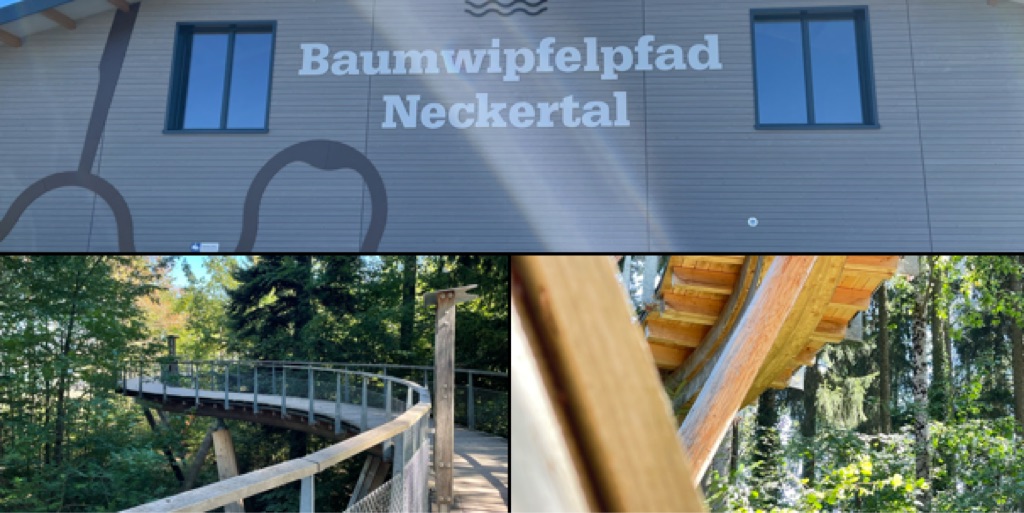 The image consists of three photos showcasing the "Baumwipfelpfad Neckertal." The top photo shows the building facade with its name. The bottom left photo displays a wooden bridge/path elevated among the treetops in a forest setting. The bottom right photo offers a close-up view of a curved wooden structure set against the backdrop of trees.