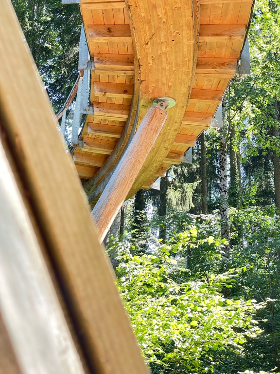 A close-up view of an elevated wooden walkway with supportive beams, set in a forest environment. The image captures the underside of the structure, showcasing the wood grain and construction details, with lush green foliage and tall trees visible in the background. Sunlight filters through the leaves, creating a dappled light effect on the forest floor.