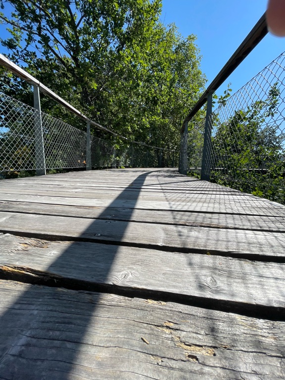 A wooden walkway with a metal railing on both sides, leading through a lush, green forest. The sky is clear and blue, and there are shadows of the railings cast across the planks. The perspective is low to the ground, creating a deep view into the path ahead.