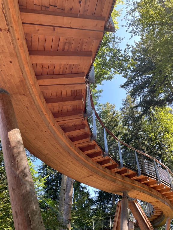 A wooden elevated walkway with a metal railing curves upwards, supported by large wooden pillars. The walkway is positioned among tall trees with green foliage, and the sky is clear and sunny, creating a bright atmosphere.