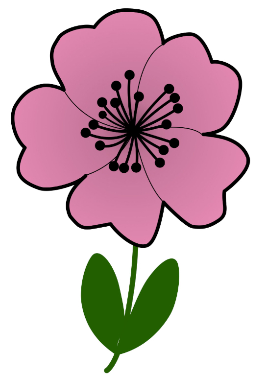 Illustration of a pink flower with five petals, a central cluster of black dots representing the stamen, and two green leaves below.