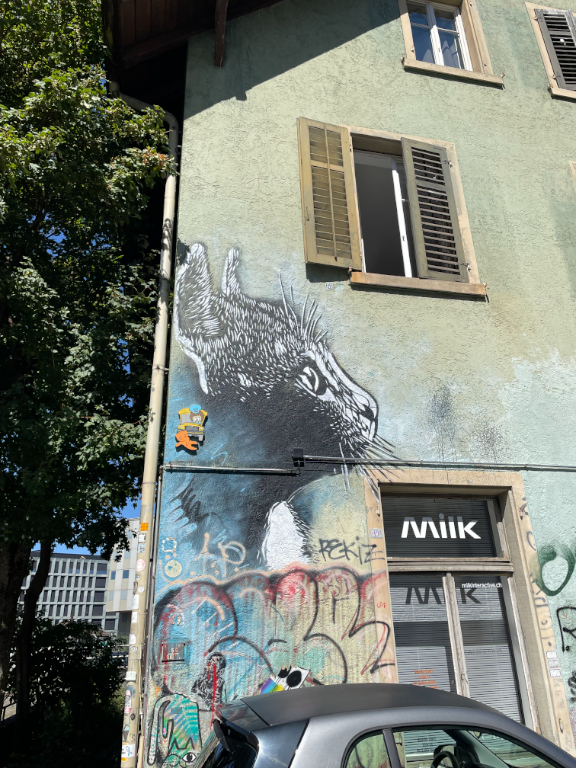 A building wall features a large mural of a squirrel painted next to a window with open wooden shutters. The mural, in black and white, displays detailed brush strokes. Below, the wall is covered with colorful graffiti and tags. A storefront with the sign "MIIK" is visible, as well as the roof of a parked car. Trees surround the building, and an urban environment is present in the background.